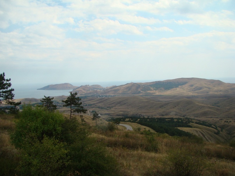 Дмитрий Ддв фотография #36