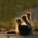 Фотография Кондаковой Веры