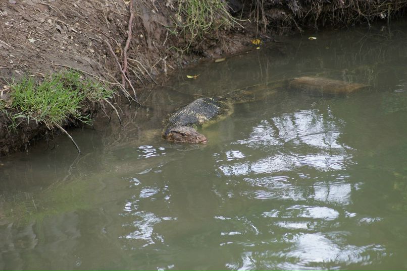 Иван Пешков фотография #27