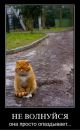 Фотография Харина Кирилла