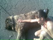 Фотография Каратник Марины