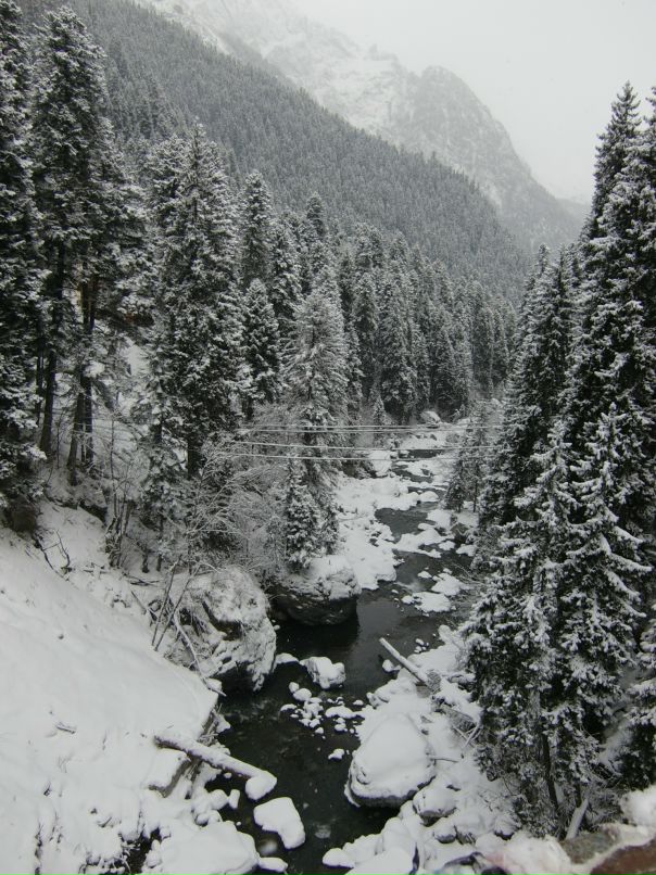 Ярослав Брик фотография #48