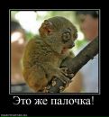 Філя Олег фотография #5 (источник - https://vk.com/id76099426)