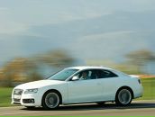 Сергей Костенко фотография #5 (источник - https://vk.com/id3938493)