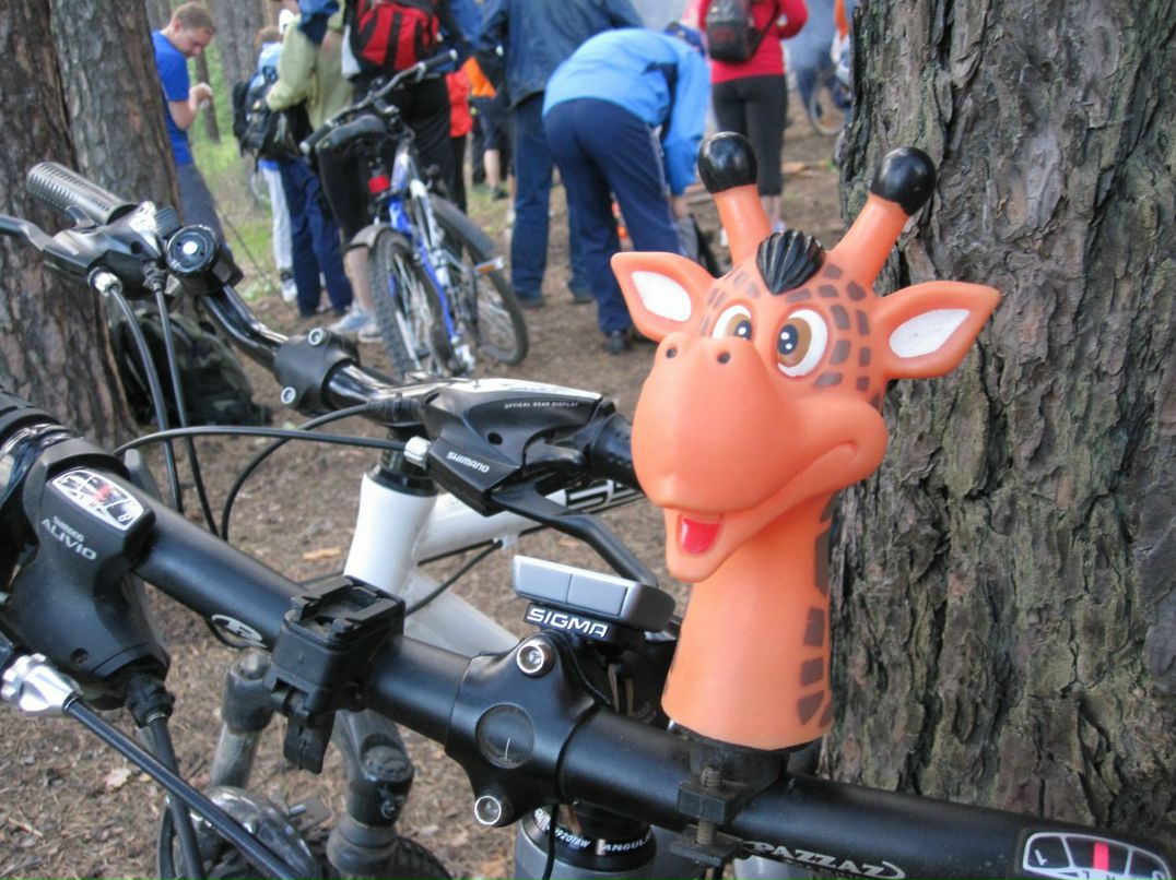 Dmitry Kid фотография #36