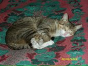 Фотография З Сергея