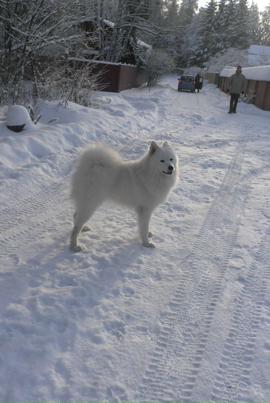 Александра Федосеева фотография #6