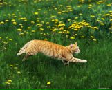 Іринка Сонечко фотография #1