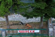 Дмитрий Серов фотография #20 (источник - https://vk.com/id41924820)