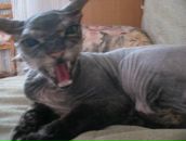 Фотография Новиковой Марины