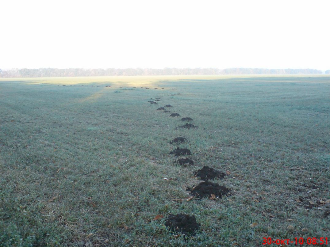 Павел Пашенко фотография #20