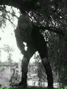 Віта Васюта фотография #34 (источник - https://vk.com/id123893942)