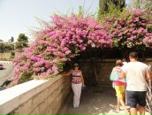 Фотография Иову Натальи