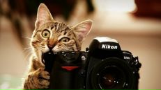 Фотография Rasenko Maxta