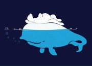 Фотография Туркиной Ирины