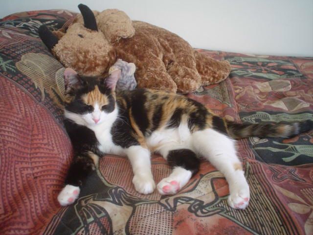 Igor Tarasov фото №49