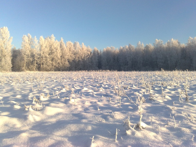 Илья Жуков фотография #23