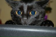 Іринка Момоход фотография #42 (источник - https://vk.com/id7558781)