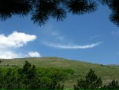 Юлія Родічева фотография #43 (источник - https://vk.com/id8162625)