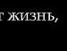 Настька Білик фотография #10 (источник - https://vk.com/id96004230)