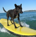 Фотография Герасенковой Оксаны