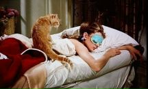 Фотография Скоп Насти