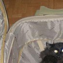 Міша Якимчук фотография #29 (источник - https://vk.com/id155178981)