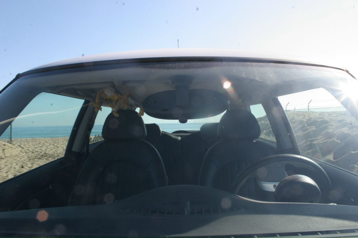 Сандра Ищенко фотография #29