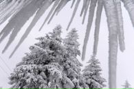 Фотография Лесовой Анны