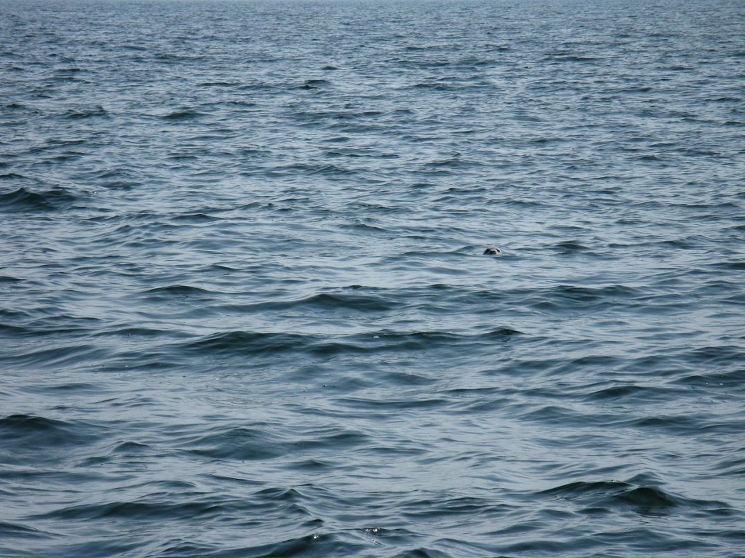 Константин Скрылев фотография #28