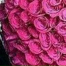 Анічка Альохіна фотография #9 (источник - https://vk.com/id59126344)