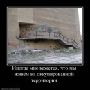 Сіроманець Патріот фотография #8 (источник - https://vk.com/id17582037)