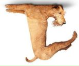 Андрій Мандзяк фотография #15 (источник - https://vk.com/id19360607)