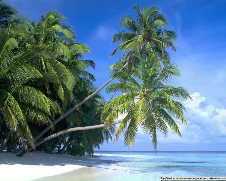 Александр Соболев фото №3