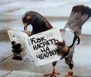 Вітя Соловій фотография #36 (источник - https://vk.com/id118998051)