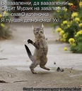 Ірина Васенько фотография #20 (источник - https://vk.com/id159425006)