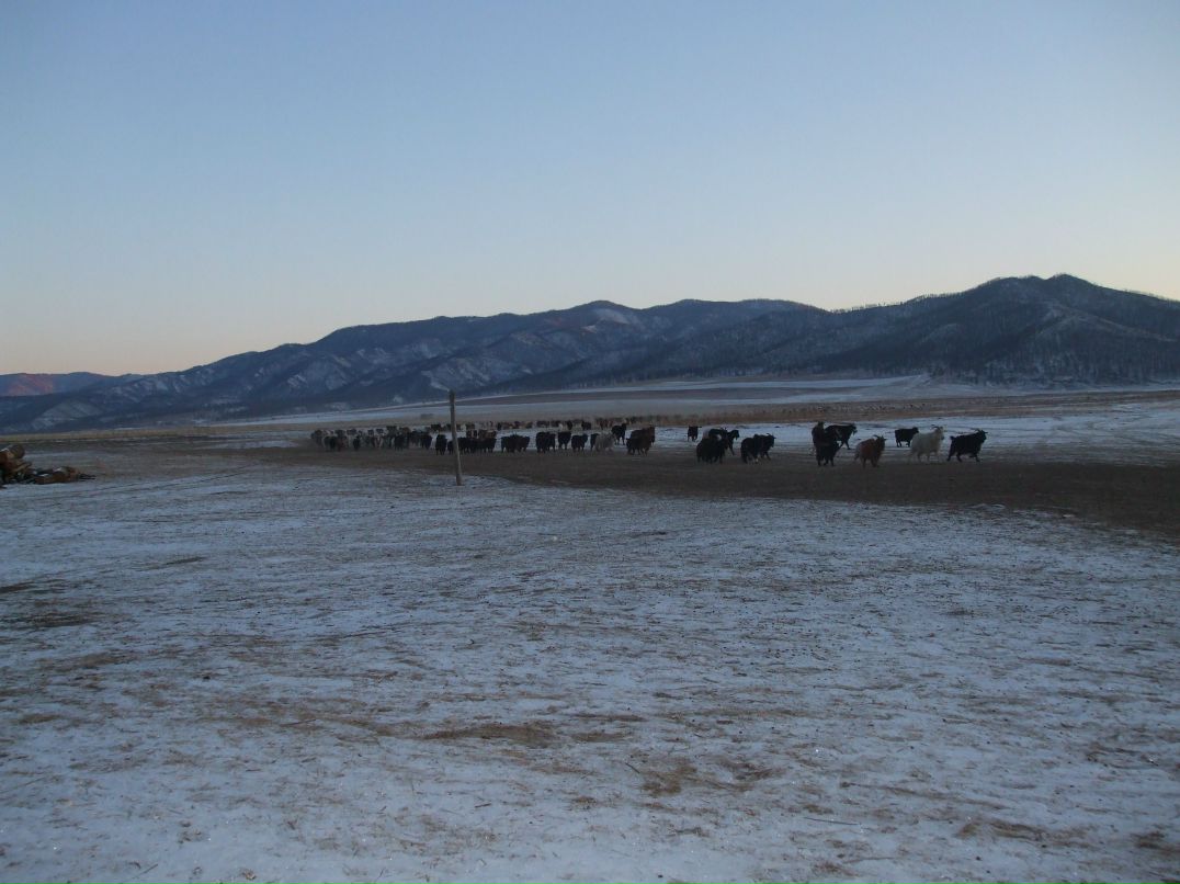 Ууганбаатар Ганбаатар фотография #35