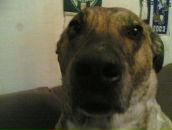 Максим Куварзін фотография #30 (источник - https://vk.com/id6530006)