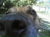 Максим Куварзін фотография #37 (источник - https://vk.com/id6530006)