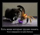 Фотография Дегтярёва Артёма