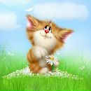 Фотография Степанова Александра