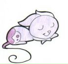 Фотография Дорохин Владимир