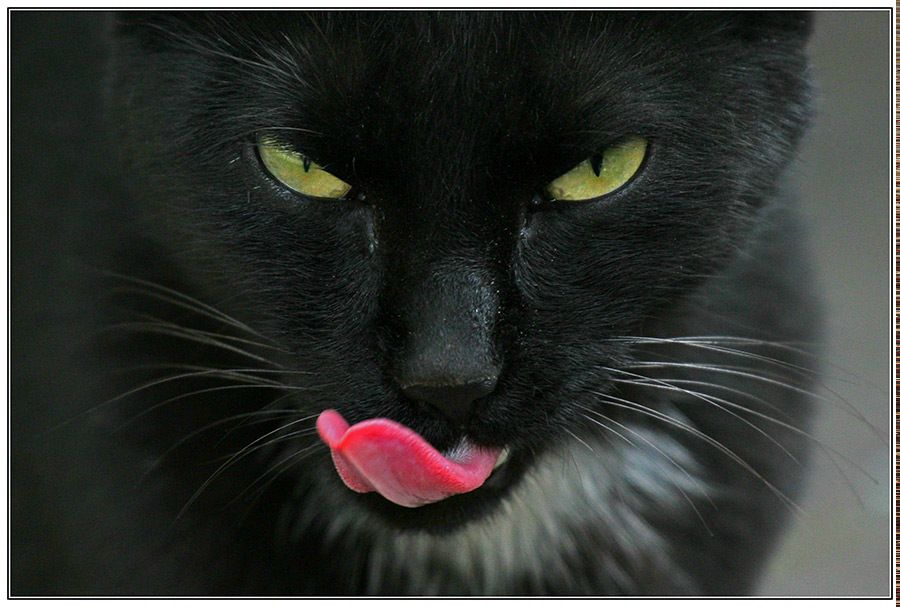 Марина Плотникова фотография #15