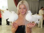 Фотография Богдановой Елены