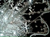 Фотография Барковой Яны