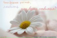 Фотография Шаяхметовой Ирины