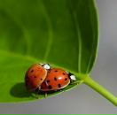 Фотография Фархутдиновой Юлии