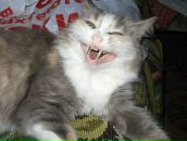 Фотография Гурьевой Екатерины