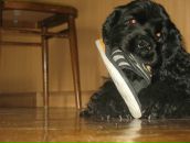 Доллі Наливайко фотография #17 (источник - https://vk.com/id82840394)