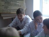 Фотография Amir Alex